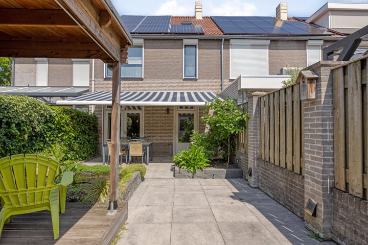 Foto 21 van Kokmeeuw 2