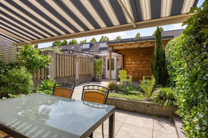 Photo 3 of Kokmeeuw 2