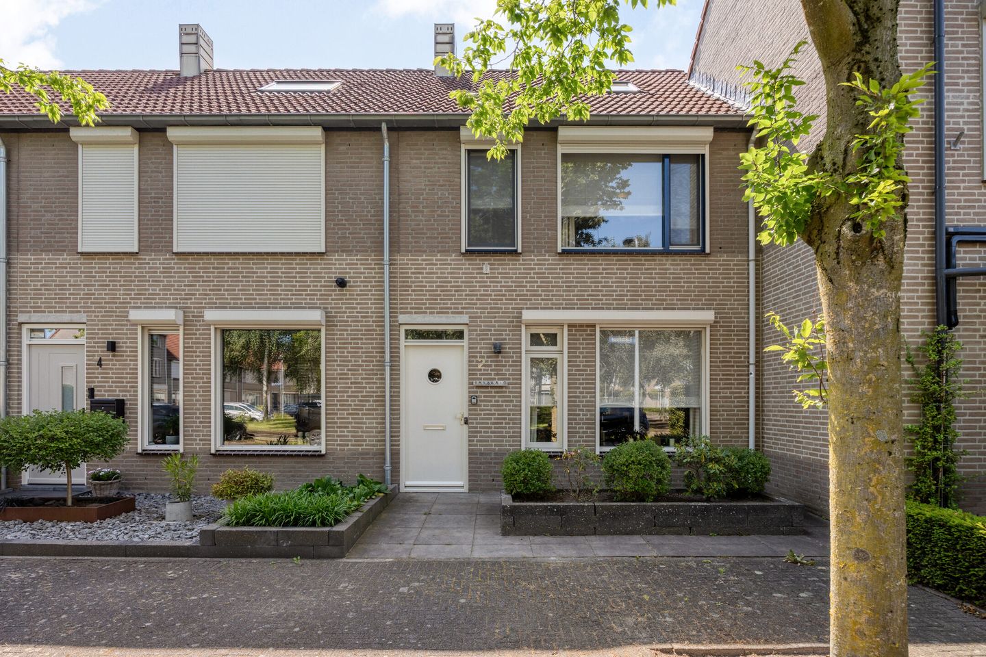 Kokmeeuw 2 main image