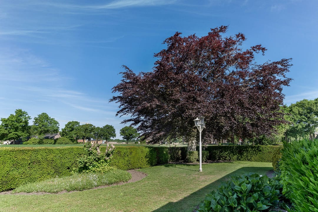 Foto 16 van Schutweg 10