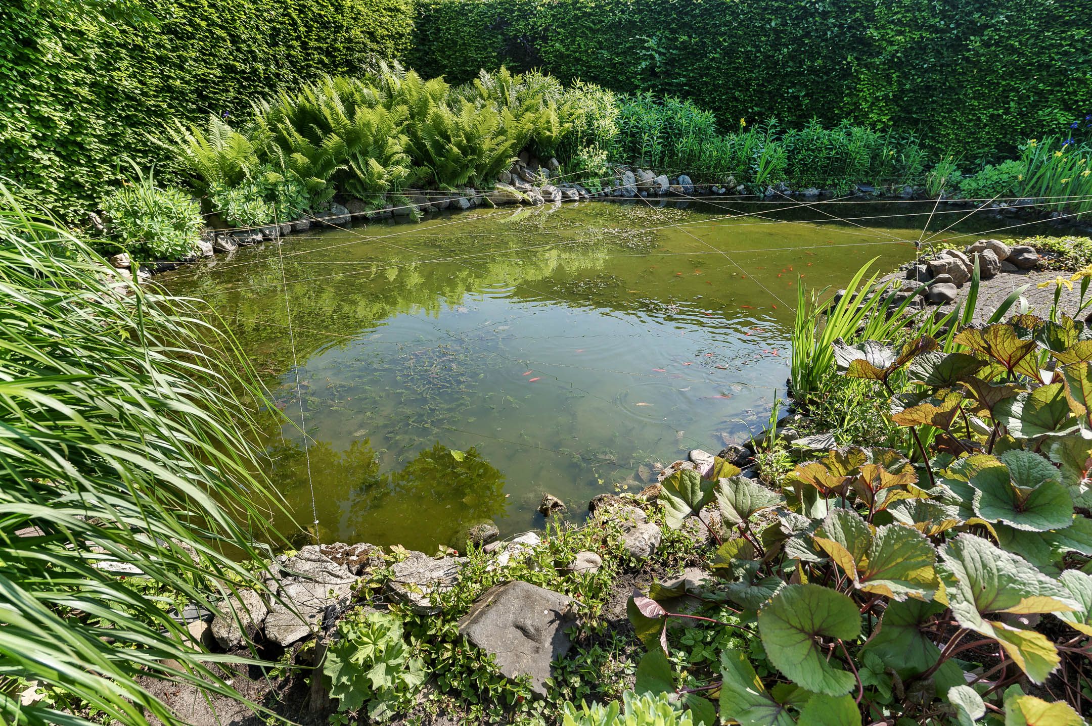 Foto 39 van Schutweg 10