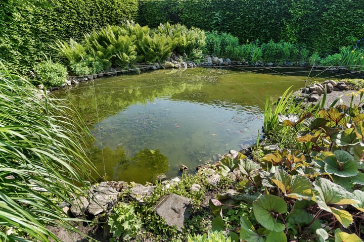 Foto 39 van Schutweg 10