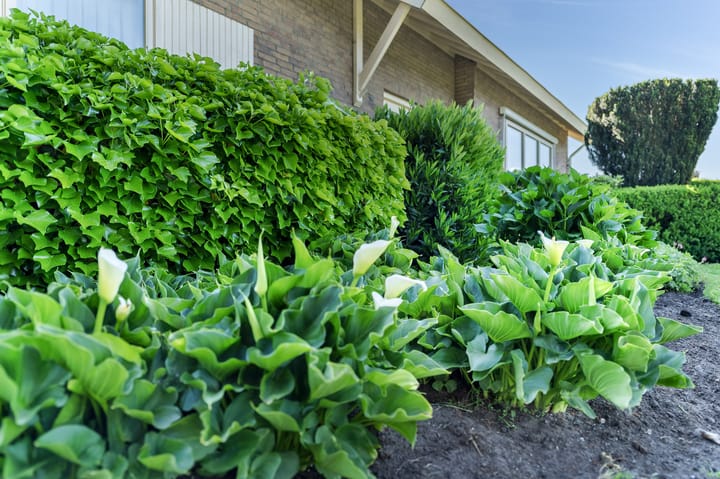 Foto 48 van Schutweg 10