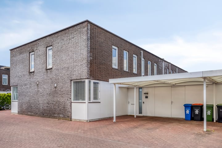 View photo of Lisdodde 50