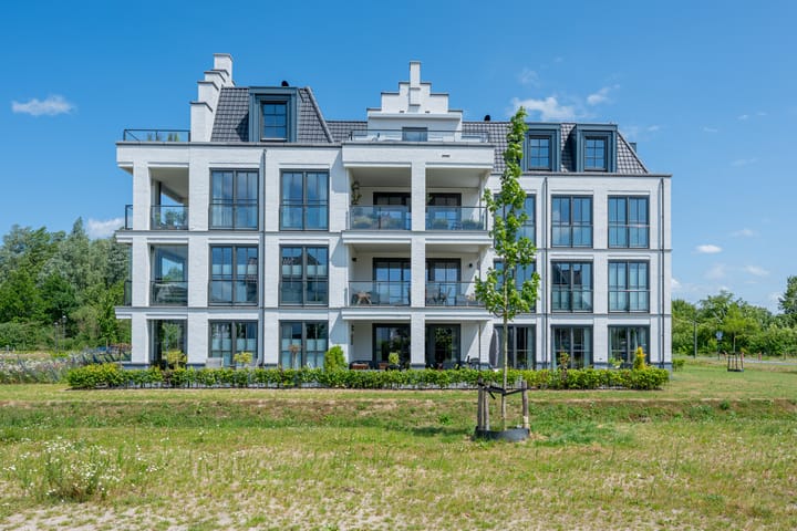 Foto 2 van Plataanpad 42