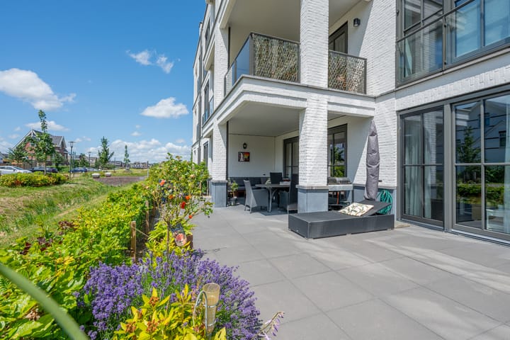 Foto 4 van Plataanpad 42