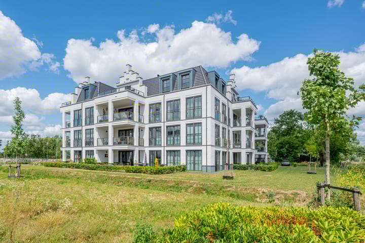 Foto 5 van Plataanpad 42