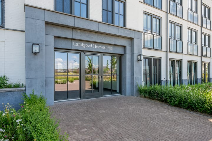 Foto 6 van Plataanpad 42