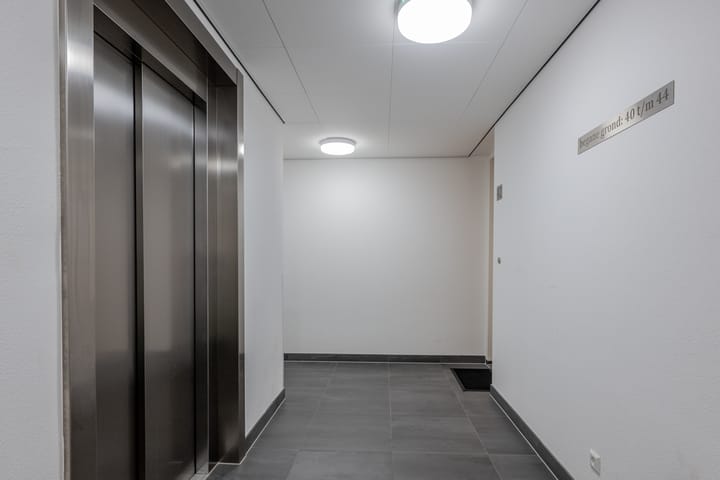 Foto 7 van Plataanpad 42