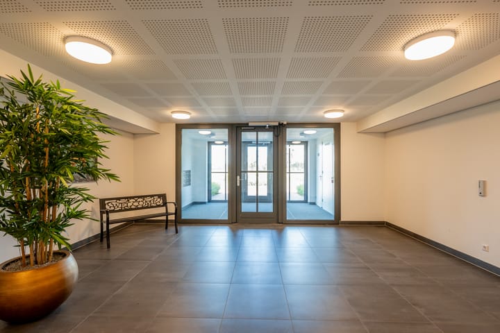 Foto 8 van Plataanpad 42