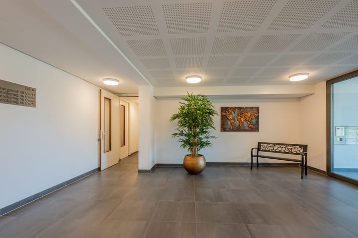 Foto 9 van Plataanpad 42