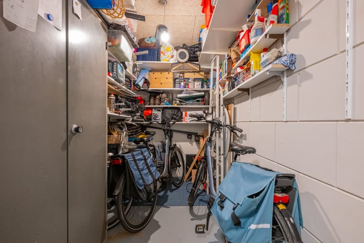 Foto 42 van Plataanpad 42