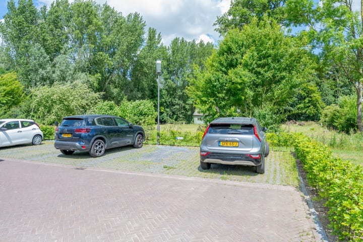 Foto 43 van Plataanpad 42