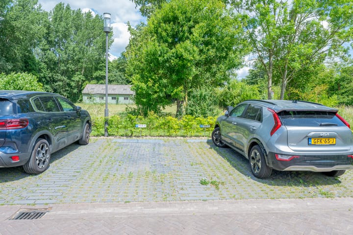 Foto 44 van Plataanpad 42