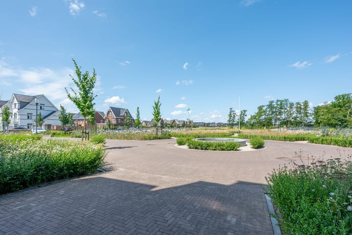 Foto 45 van Plataanpad 42