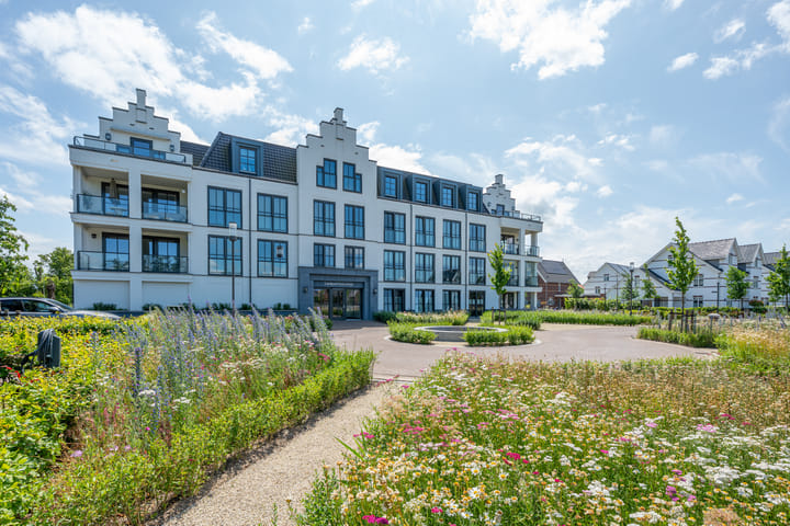 Foto 46 van Plataanpad 42