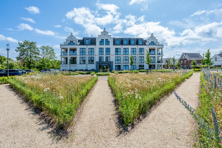 Foto 47 van Plataanpad 42