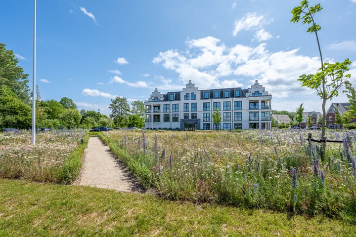 Foto 48 van Plataanpad 42