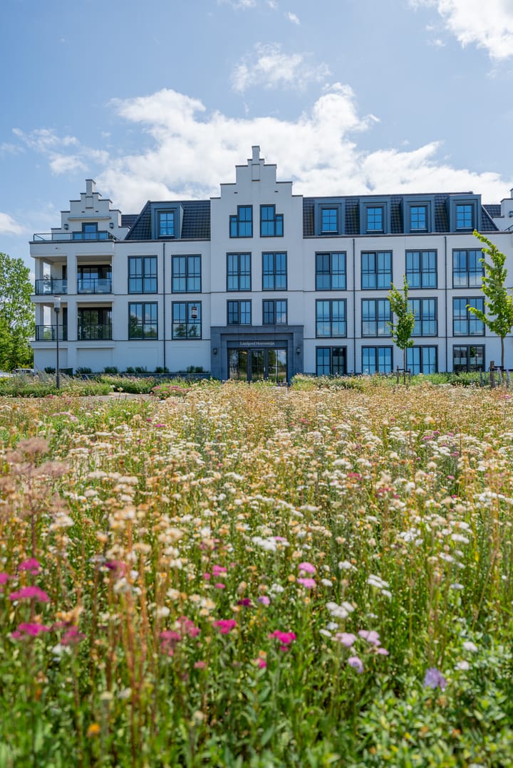 Foto 50 van Plataanpad 42