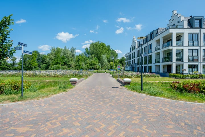 Foto 52 van Plataanpad 42