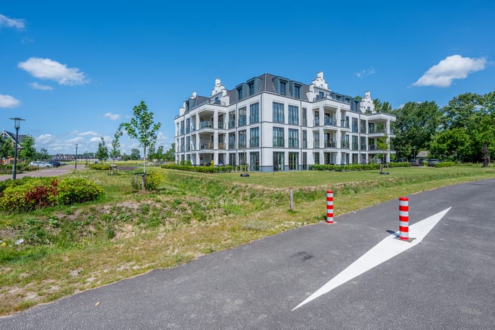 Foto 55 van Plataanpad 42