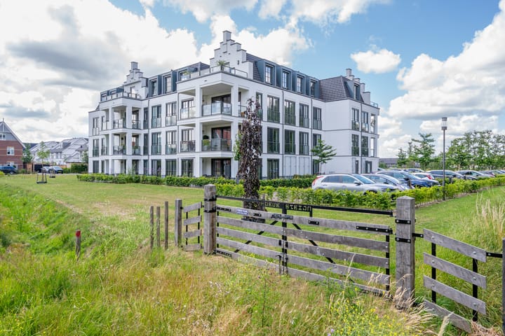 Foto 56 van Plataanpad 42