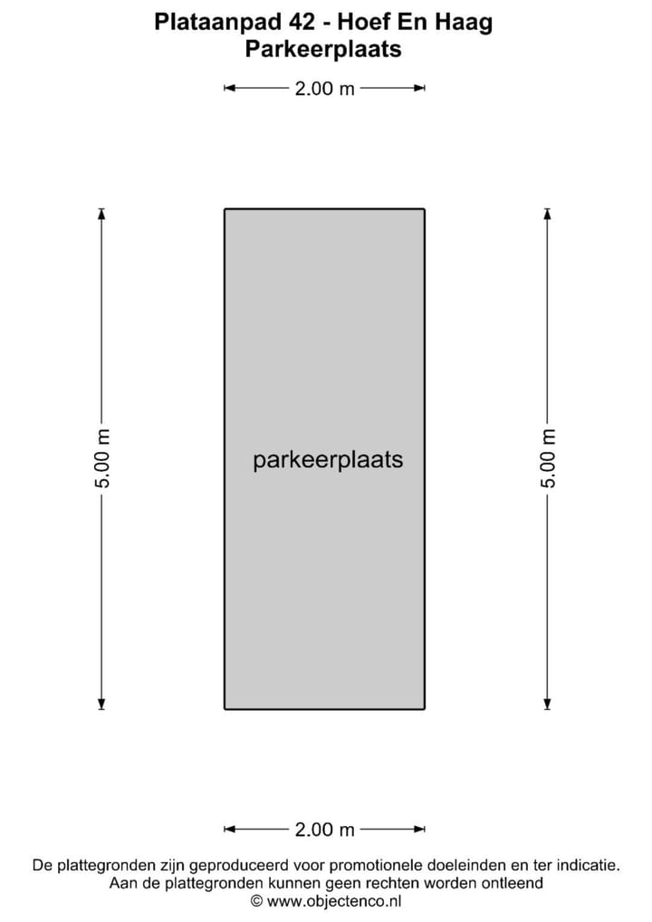Foto 64 van Plataanpad 42