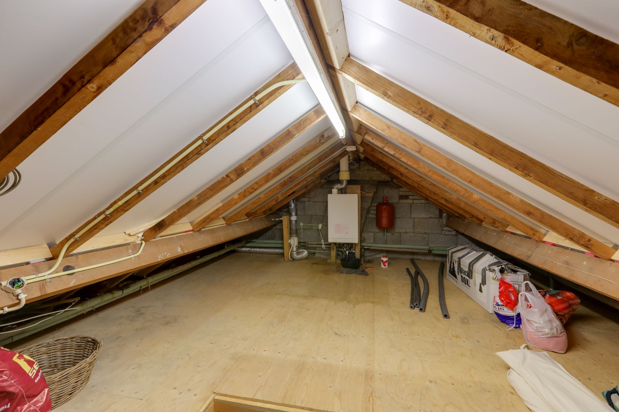 Foto 42 van Zwarteweg 1