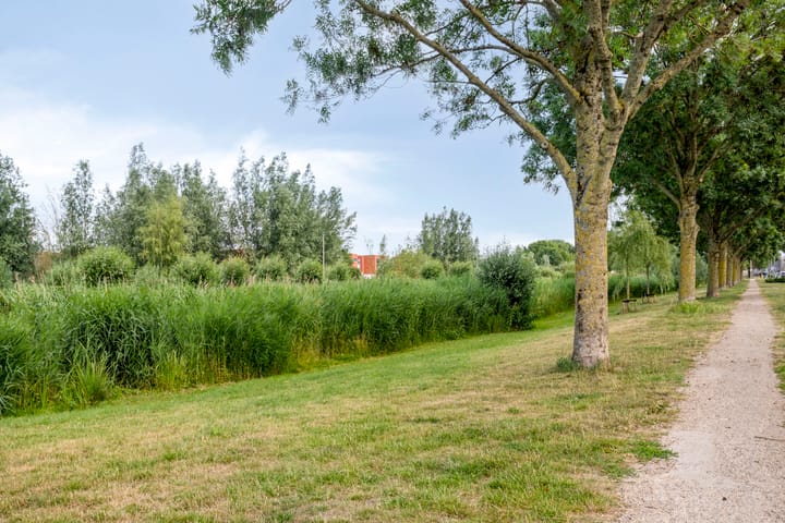 Foto 34 van Spuisluis 12