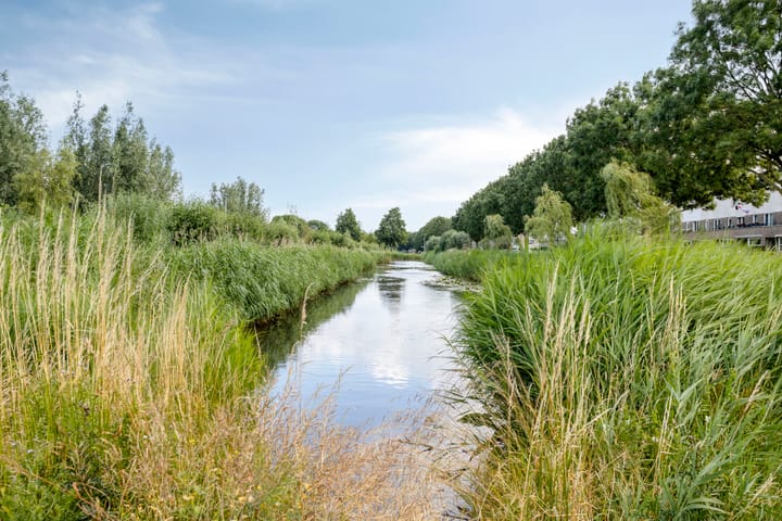 Foto 35 van Spuisluis 12