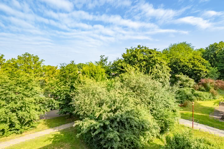 Foto 33 van van Herwijnenplantsoen 238