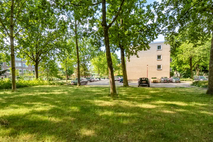 Foto 36 van van Herwijnenplantsoen 238