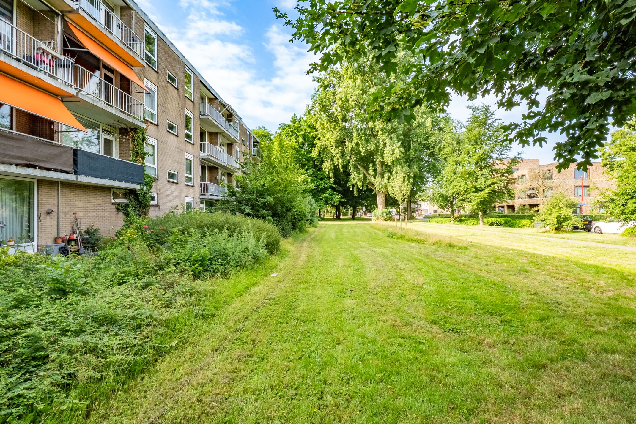 Foto 39 van van Herwijnenplantsoen 238