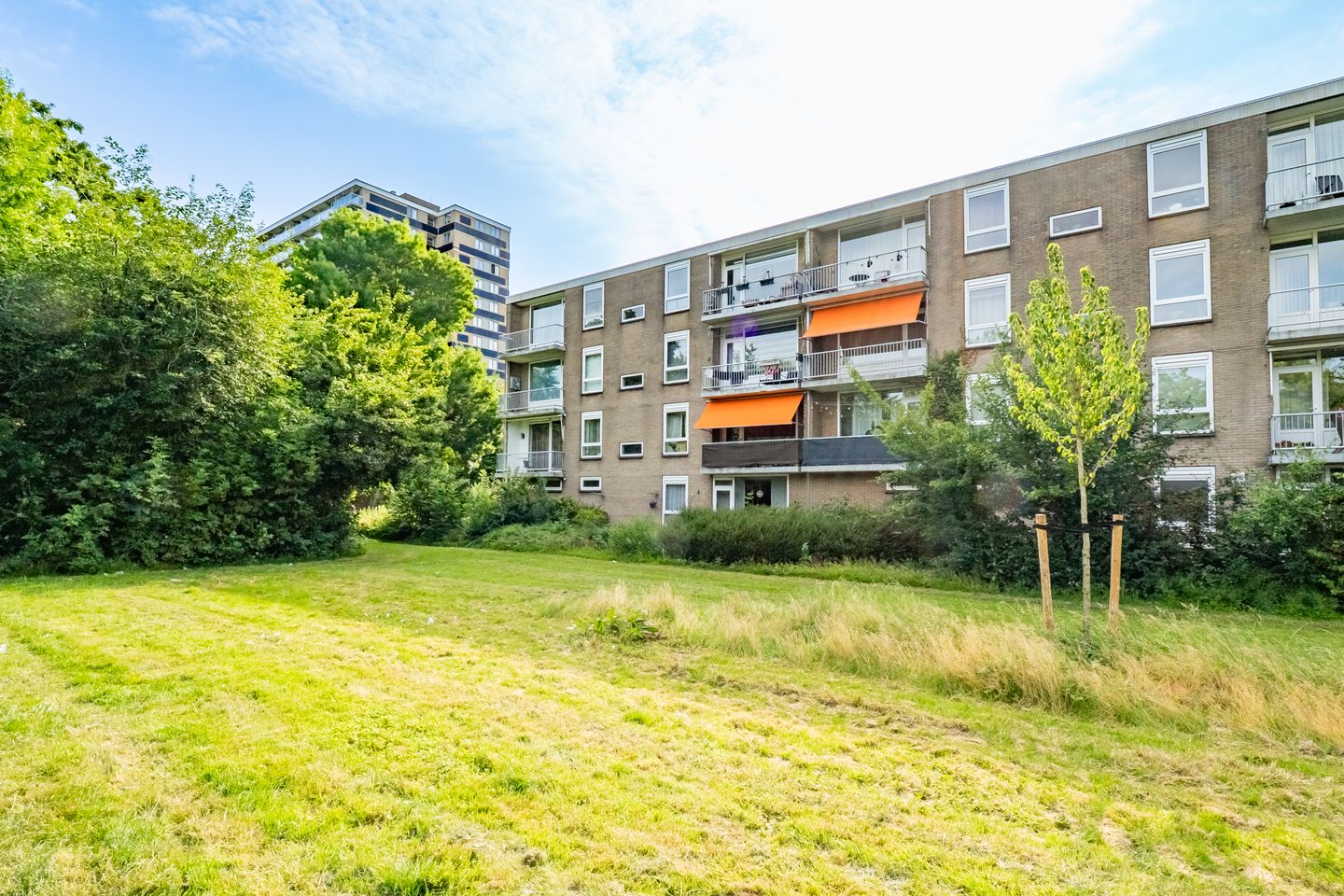 Foto 40 van van Herwijnenplantsoen 238