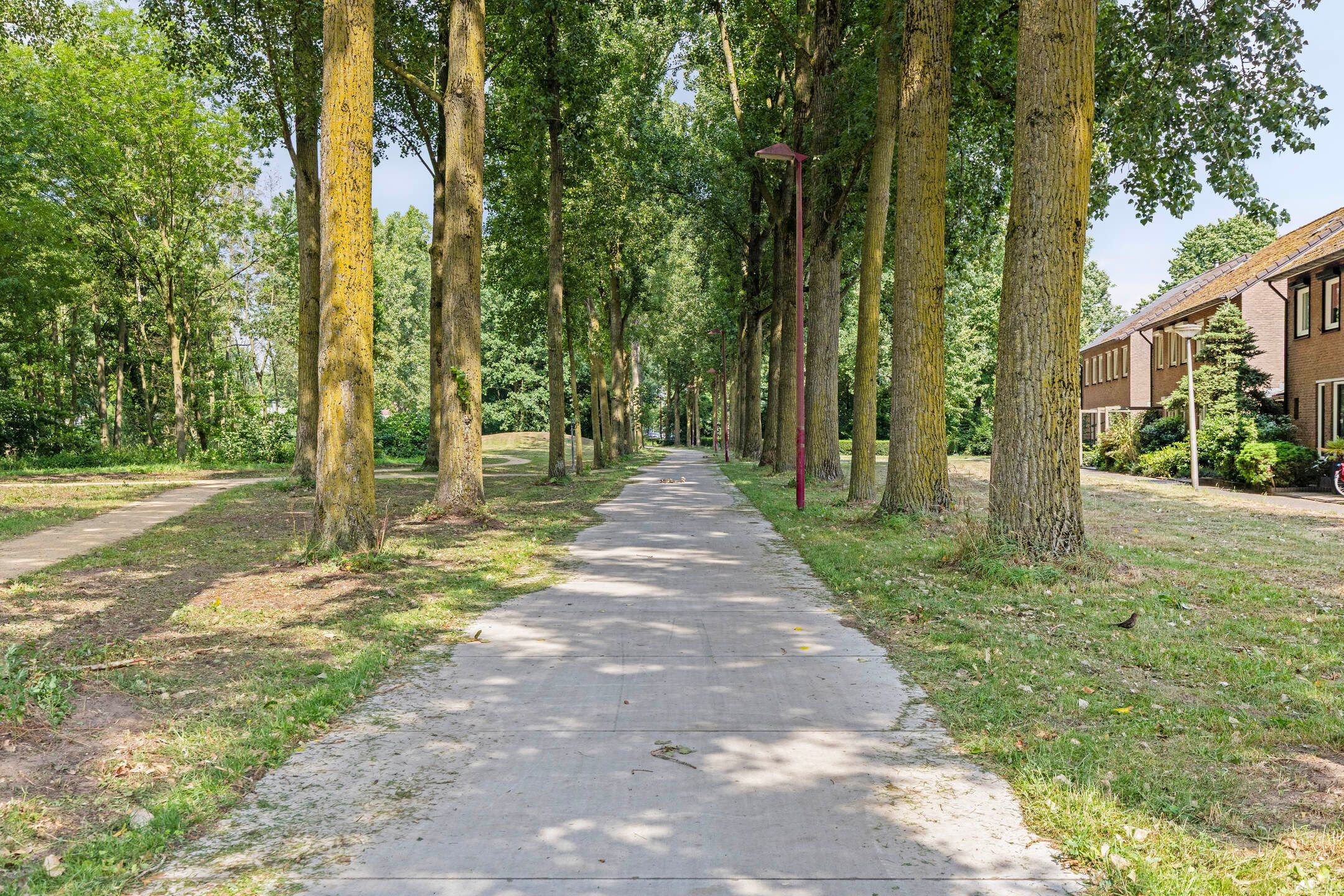 Foto 36 van Hoefstraat 13