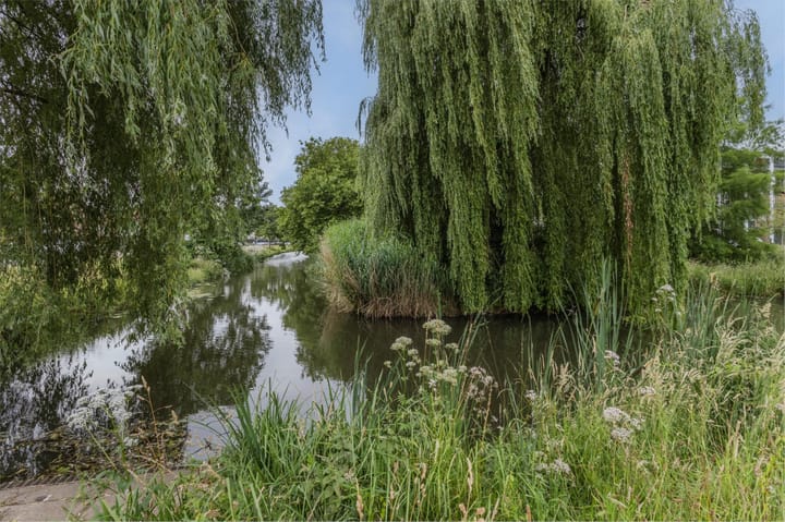 Foto 31 van Bontekoestraat 3-4