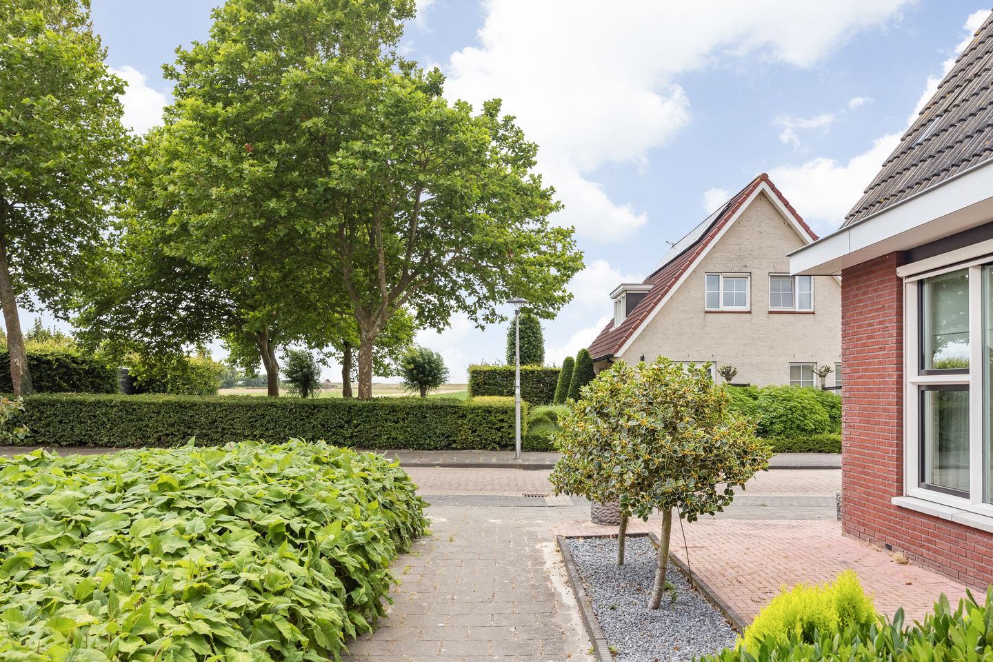 Foto 4 van Rietgors 24