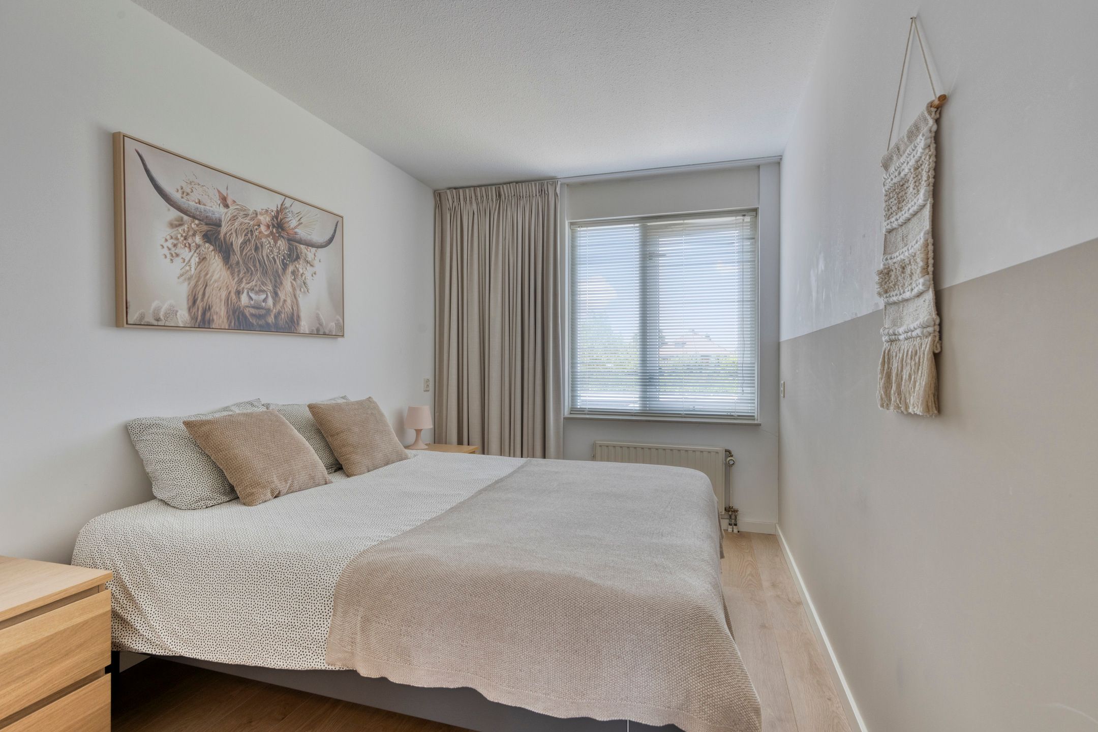 Foto 3 van De Schouw 2