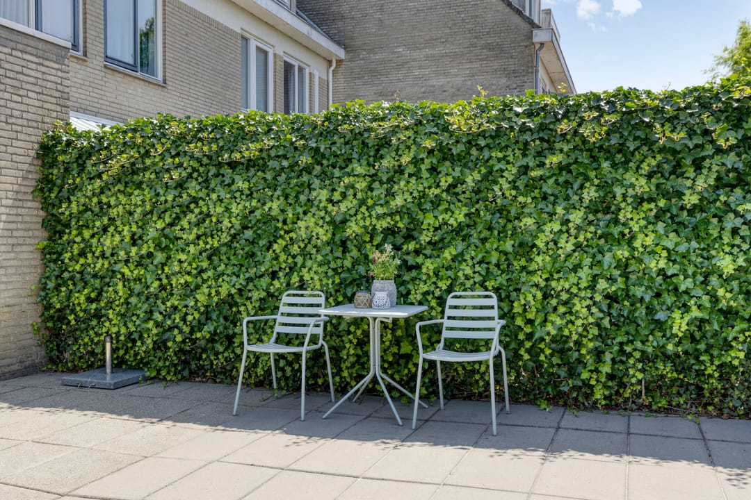 Foto 32 van De Schouw 2