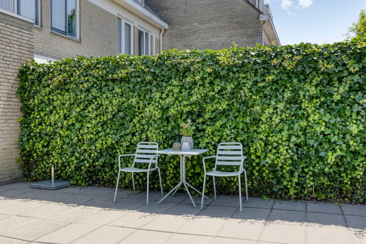 Foto 32 van De Schouw 2