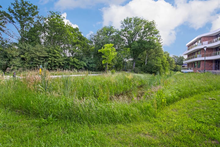 Foto 28 van Bonkelaar 17