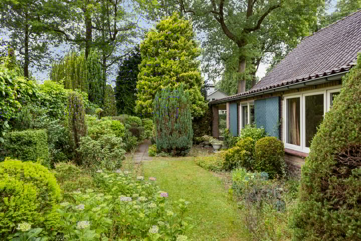 Foto 33 van Rhienderinklaan 7