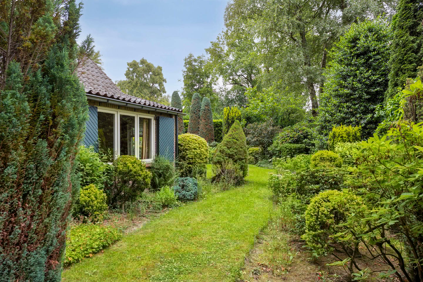 Foto 34 van Rhienderinklaan 7