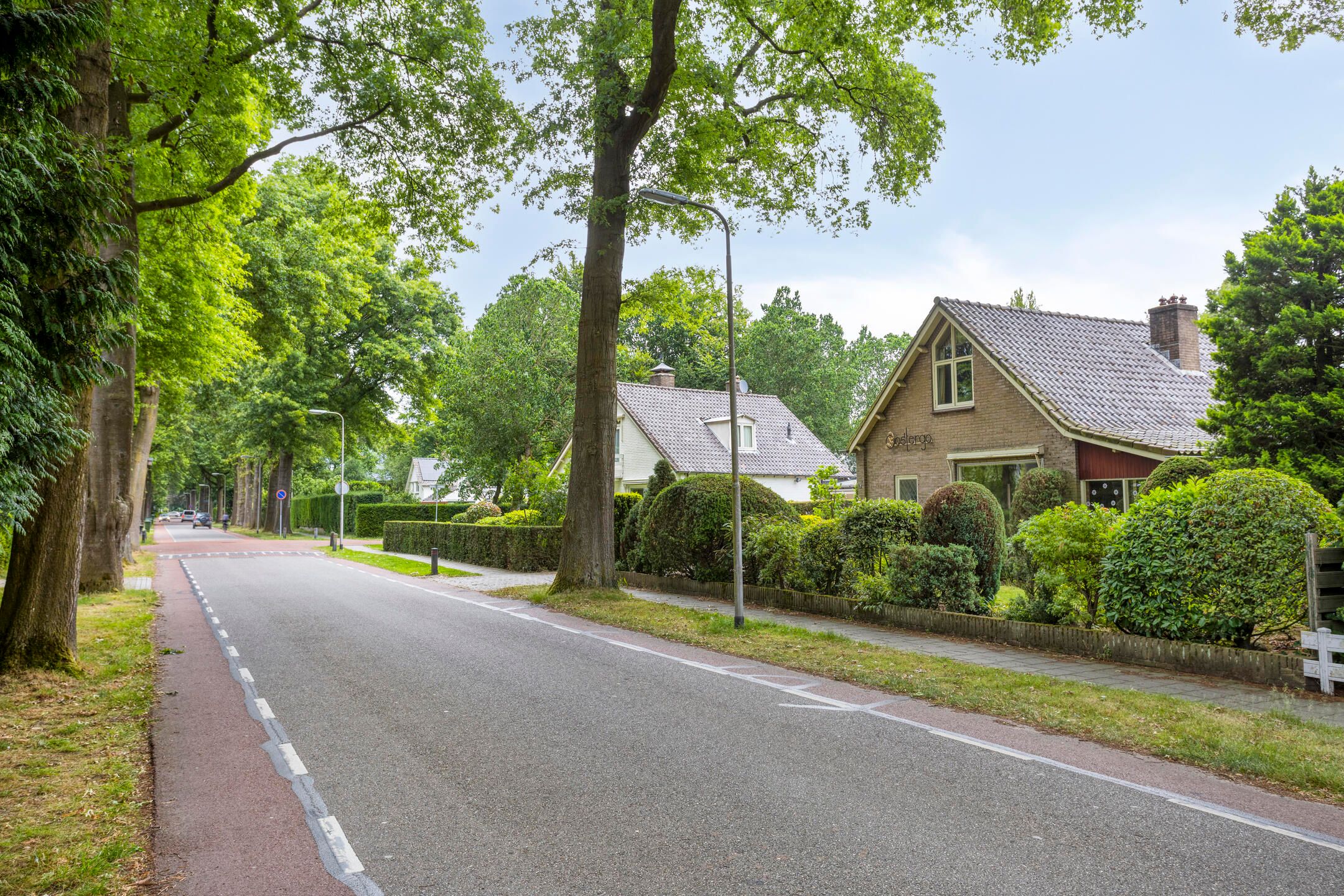 Foto 36 van Rhienderinklaan 7