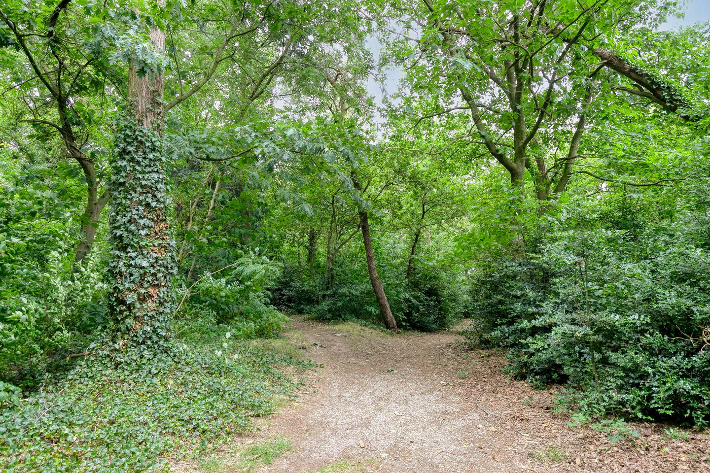 Foto 50 van Veluwehof 96