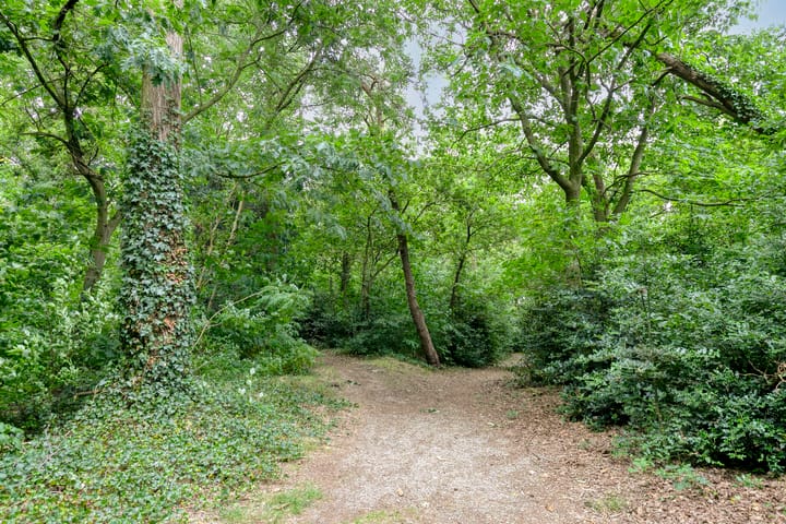 Foto 50 van Veluwehof 96