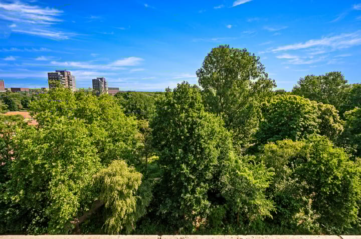 Photo 21 of Santhorst 79