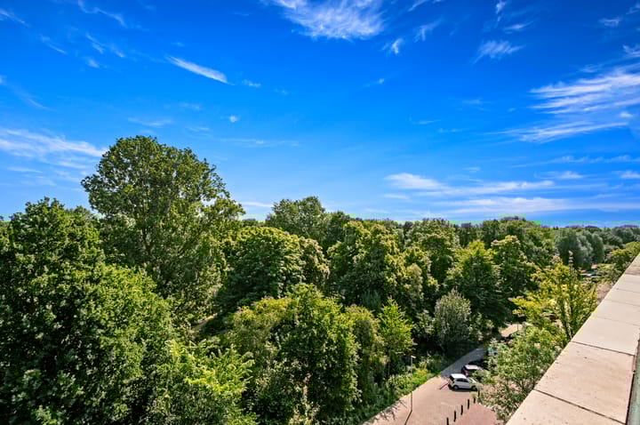 Photo 23 of Santhorst 79