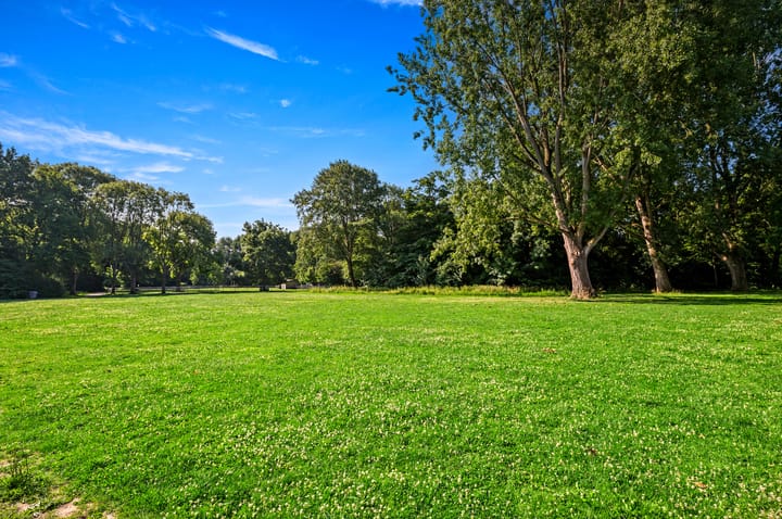 Photo 39 of Santhorst 79