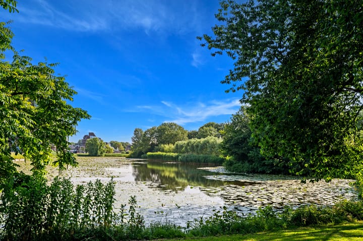 Photo 43 of Santhorst 79